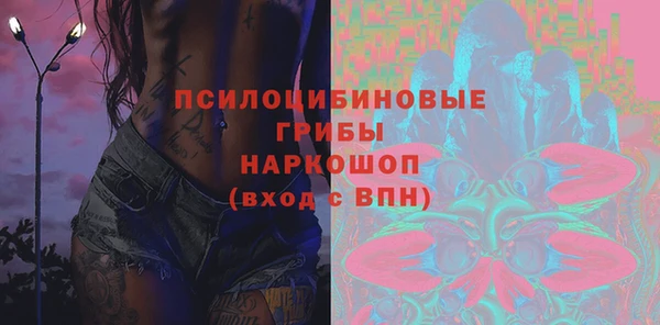бошки Абаза