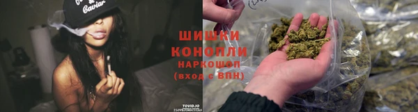 стафф Новозыбков