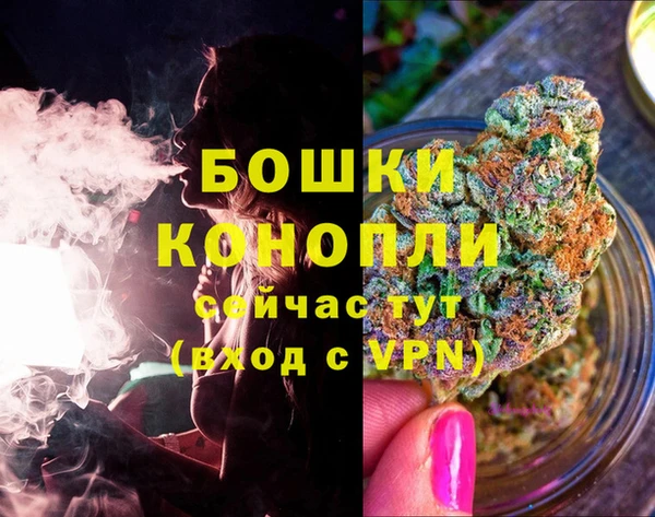трава Новокубанск
