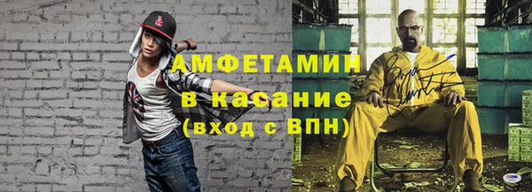 стафф Новозыбков