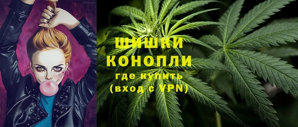 трава Новокубанск