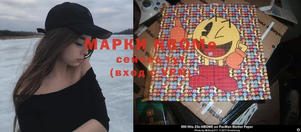 стафф Новозыбков