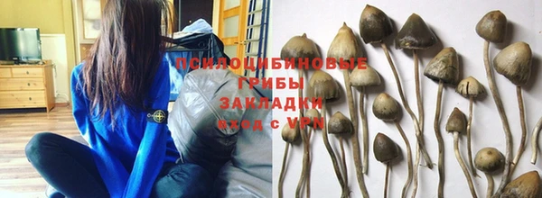 бошки Абаза