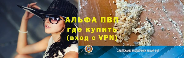 стафф Новозыбков
