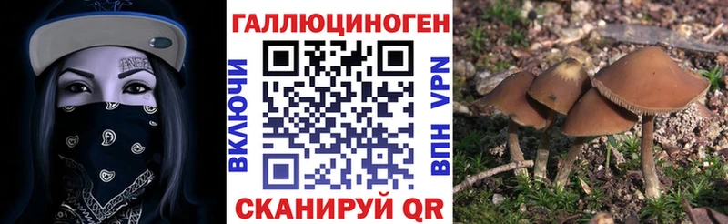 МЕГА как войти Урень Галлюциногенные грибы Cubensis