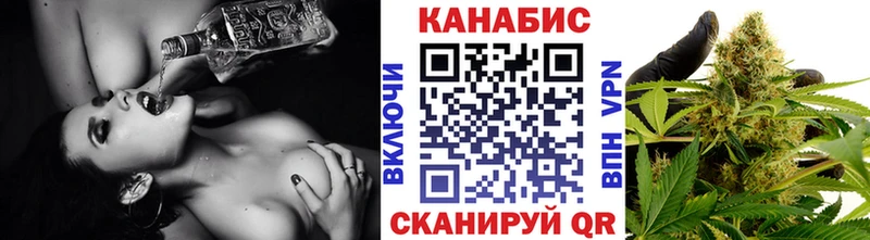 гидра зеркало  купить наркотики цена  Урень  Марихуана сатива 